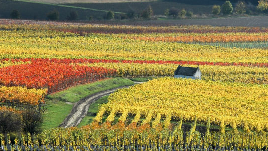 Weitere Informationen zu SK O&W